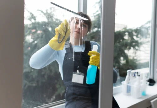 Nettoyage de vitres intérieures et extérieures à Lamanère